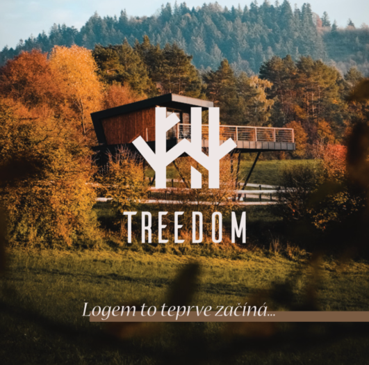 Návrh loga a vizuálního stylu Treedom - zážitkového ubytování, grafika, grafik, návrh, brno, logo, design, leták, vizitka, AI